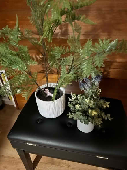 Photo of free Fake plants (Ealing W5) #1