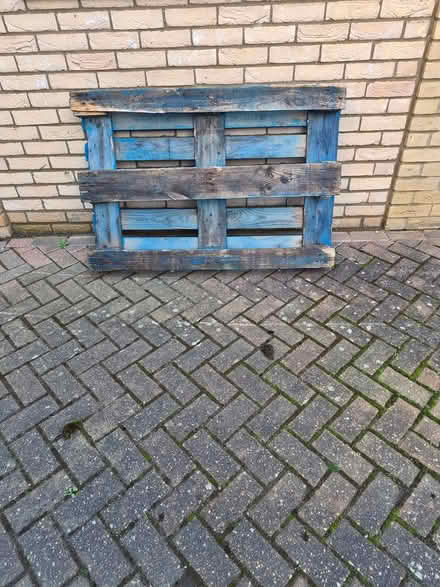 Photo of free Pallet (Ely CB6) #1