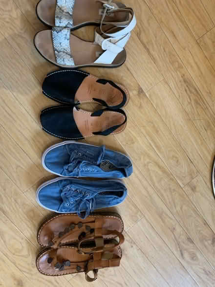 Photo of free Ladies footwear size 5 (Hereford, HR2, Ross road) #1