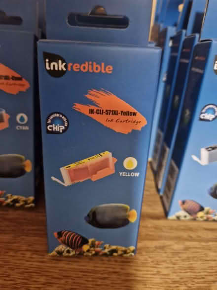 Photo of free Ink Cartridges for Canon Pixma printers (Chells SG2) #2
