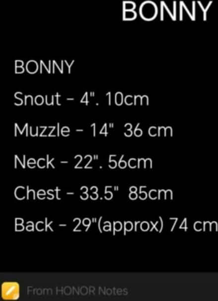 Photo of Dog collar, harness etc (Mapperly NG3) #3