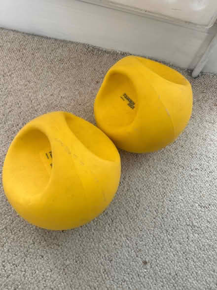 Photo of free Weight training bowl (Farlington PO6) #1