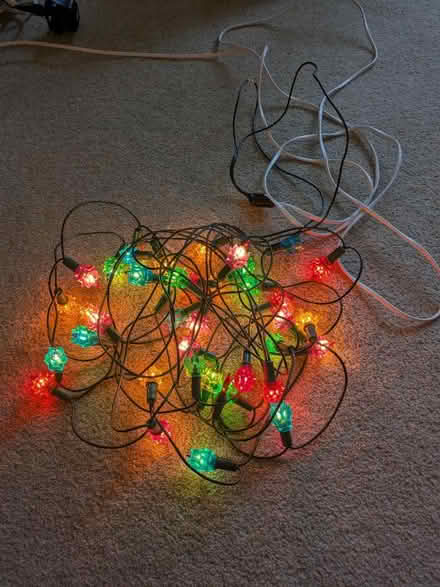 Photo of free Christmas Tree Lights (University Area RG6) #1