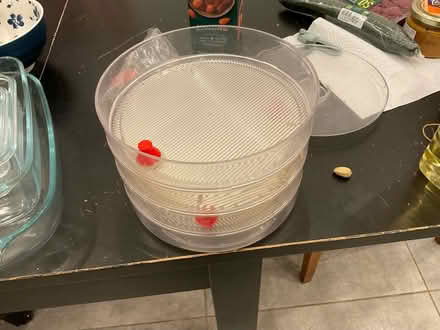 Photo of free Terminator, sprouts maker (Hampstead, mw3) #2