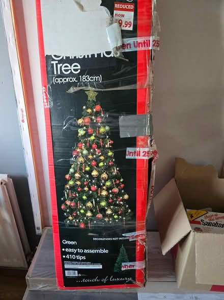 Photo of free Christmas tree (Dinesgreen WR2) #1