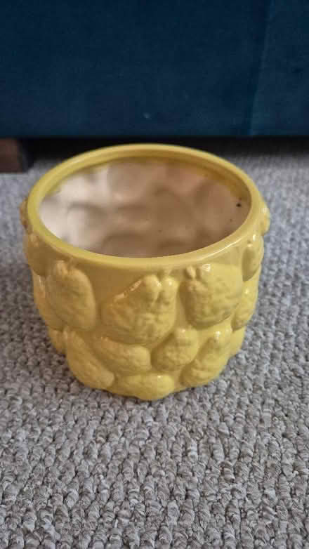 Photo of free Yellow plant pot (Figge's Marsh CR4) #1