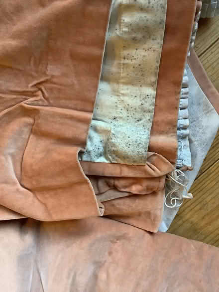 Photo of free pinkish velvet curtains (Bear Flat) #3