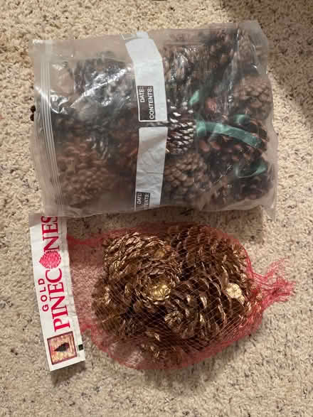 Photo of free Pinecones (Farmington Hills) #1