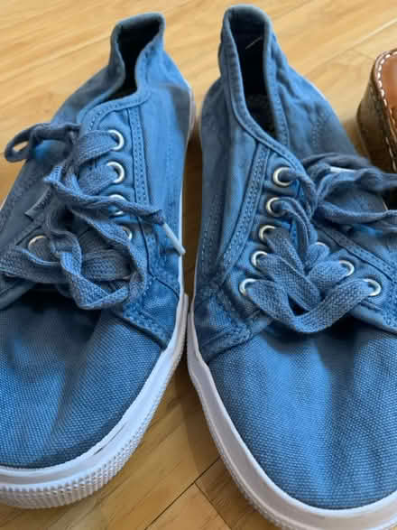 Photo of free Ladies footwear size 5 (Hereford, HR2, Ross road) #3