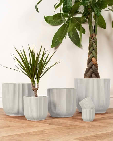 Photo of Indoor plant pots (Oxford OX33) #1