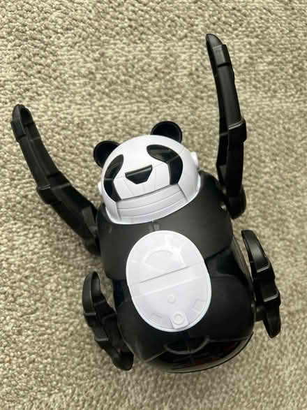 Photo of free Rolling panda toy kit (Latchford WA4) #4