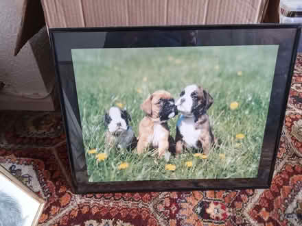 Photo of free Assorted Pictures (Longlevens GL2) #1