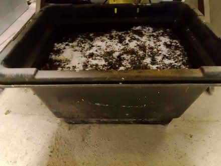 Photo of free Rock salt (Bucknell SY7) #1