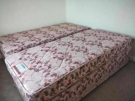 Photo of free Two Single Beds (Gwernaffield CH7 5) #2