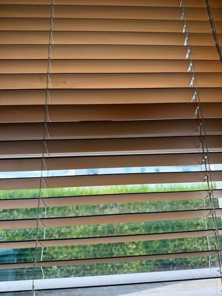 Photo of free Wooden slatted blinds (Balgreen EH12) #2