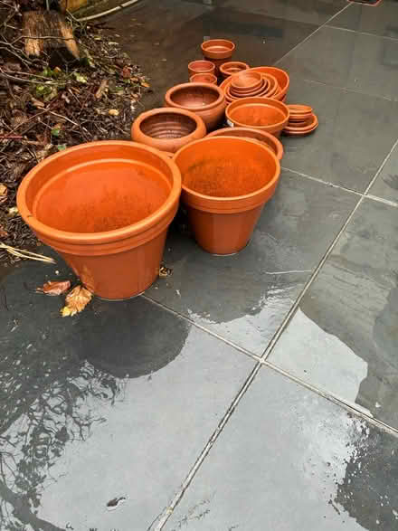 Photo of free Terracotta pots (SM4 South Merton) #2