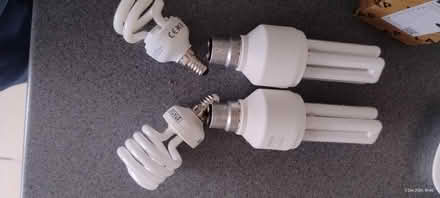 Photo of free Low energy light bulbs (Ingol PR2) #1