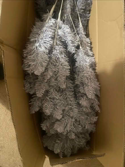 Photo of free Christmas tree (W10 nottinghill) #2