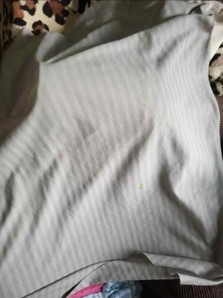 Photo of free Lightweight grey fleece blanket (Splott, CF24) #1