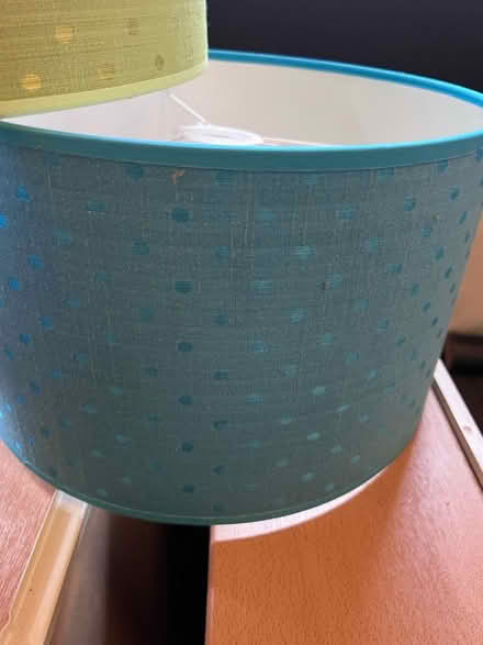 Photo of free Modern lampshades (Lambs Green RH12) #2