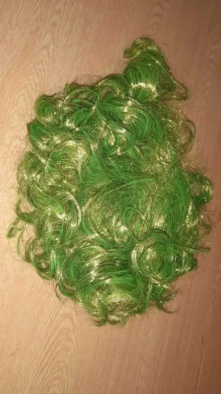 Photo of free Joker green wig (Barnsley S75) #1
