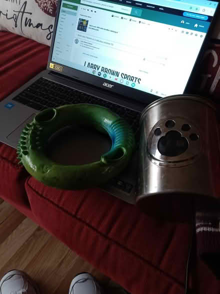 Photo of free dog items (Telegraph Rd., Alexandria) #1