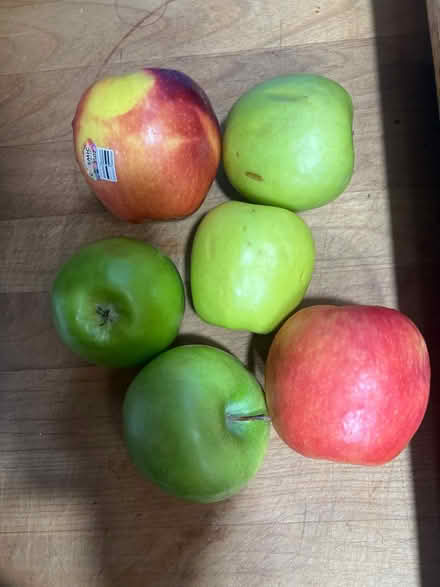 Photo of free 6 apples (Lake City/Meadowbrook) #1