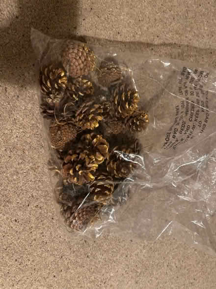 Photo of free Pine cones (Clonskeagh) #1