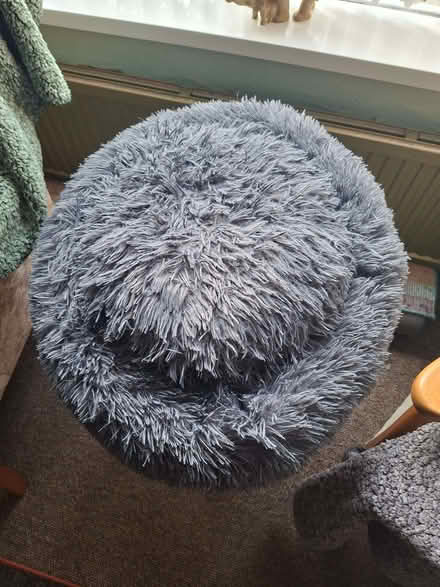 Photo of free Cat bed. (Gillingham ME7) #2