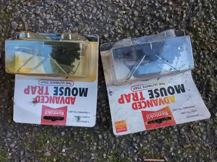 Photo of free 2 Mouse Traps Unopened (Roseacre ME15) #1