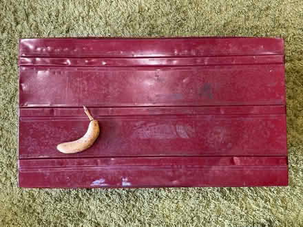 Photo of free Powder coated Steel trunk (Hackney E8) #2