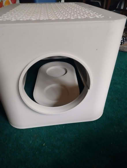 Photo of free Cat feeding station (Weston) #2