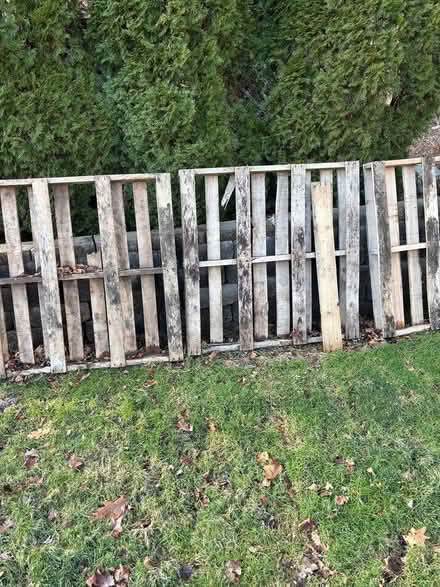 Photo of free Wood Pallets (Near Richter Park in Danbury) #1