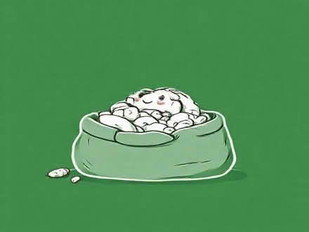 Photo of Stuffing (Oswestry SY11) #1