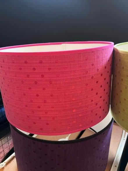 Photo of free Modern lampshades (Lambs Green RH12) #3