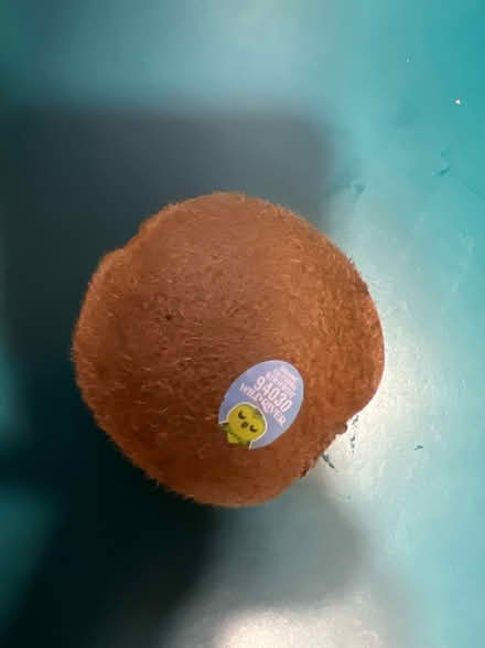 Photo of free Mandarin oranges & kiwi (Lake City/Meadowbrook) #2