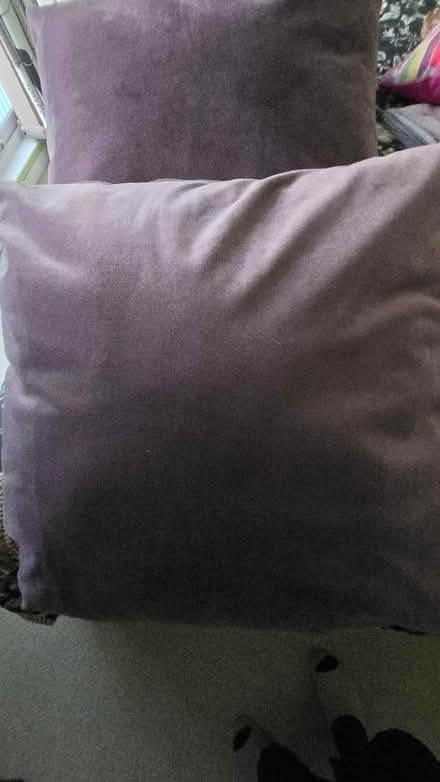 Photo of free 3 soft velvet cushions (Lechlade GL7) #2