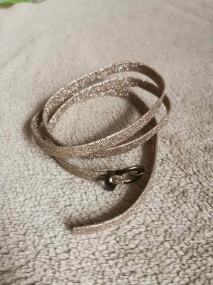 Photo of free Gold glitter belt (Toxteth L8) #1
