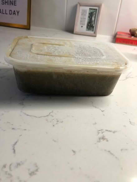 Photo of free home made soup (Deal) #1