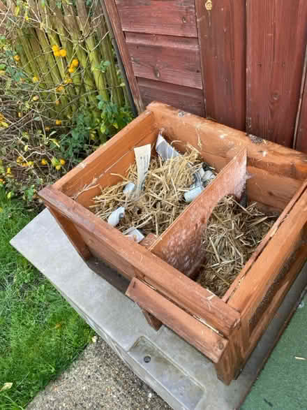 Photo of free Hedgehog house (Waltham Abbey EN9) #2