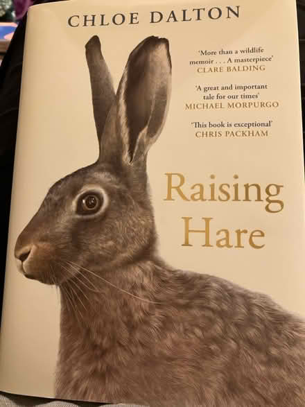 Photo of free Raising Hare - hardback book (Waddon) #1