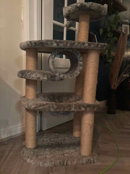 Photo of free Cat tree (Wantage OX12) #1