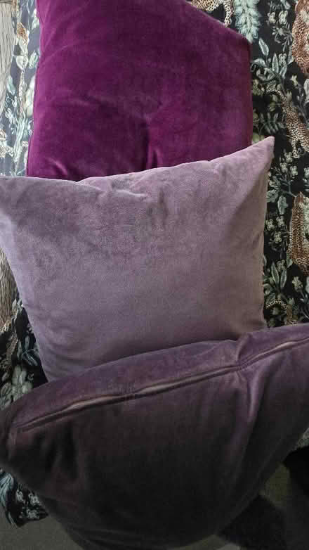 Photo of free 3 soft velvet cushions (Lechlade GL7) #1