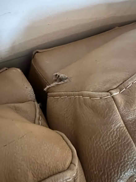 Photo of free Leather Couch (McHenry County) #3