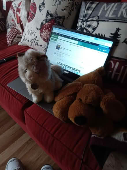 Photo of free dog items (Telegraph Rd., Alexandria) #2