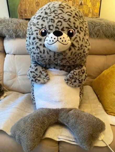 Photo of free Large soft toy (Bromley North BR1) #1