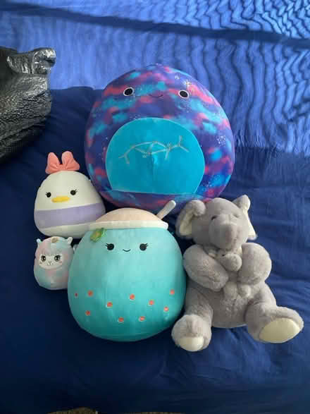 Photo of free Stuffed Animals (lisle, il) #1