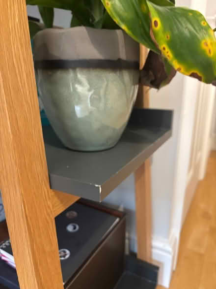 Photo of free Tall book shelves (Fulham SW6) #2