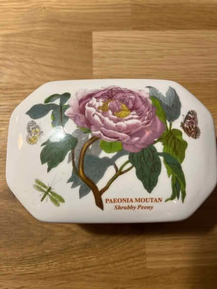 Photo of free Botanic garden china trinket box (Winnersh RG41) #1