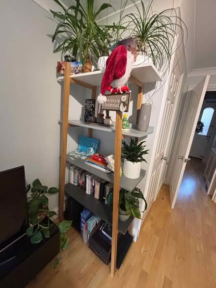 Photo of free Tall book shelves (Fulham SW6) #1
